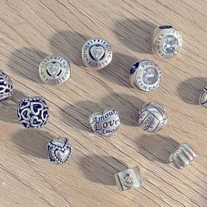 Bundle of  Pandora Charm Spacers
